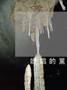 嫖娼的黨員必須一律開除黨籍嗎？
